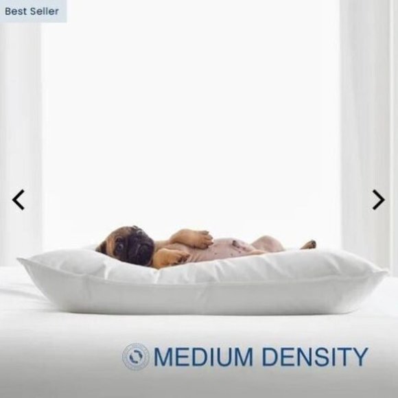 The Company Store Essentials Gusseted Down And Feather Side Sleeper Pillow - Picture 3 of 5